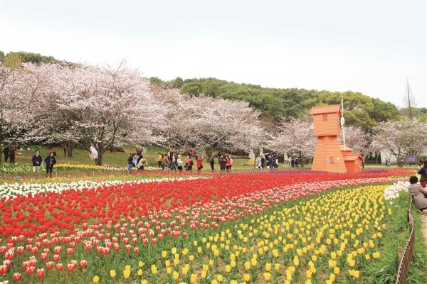 上方山上 百花盛放