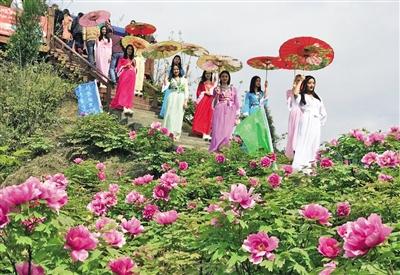 垫江牡丹盛放 清明去偶遇"牡丹仙子"-河北新闻频道-长城网