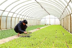 宜春林业信息网