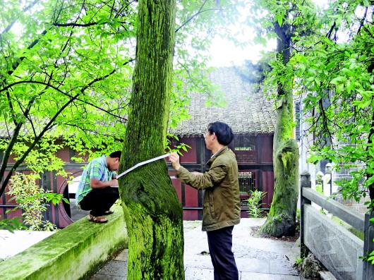 织金县城人口_织金县营合乡辖区图 中文百科在线图片查看