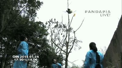 400_224 gif 动态图 动图