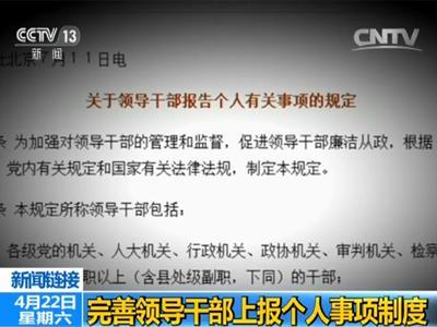企业所得税申报表_领导干部收入申报表(2)
