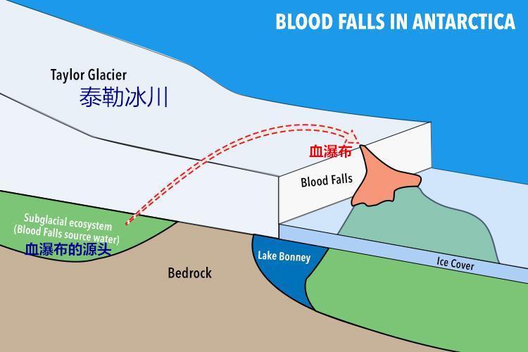 南极血瀑布揭开 竟是100万年前隐藏在冰川下的大湖