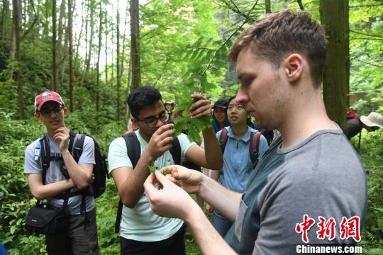 加拿大学生在中国林科院亚热带林业实验中心开