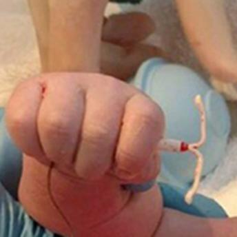 Ӥ�����ձ��л�����