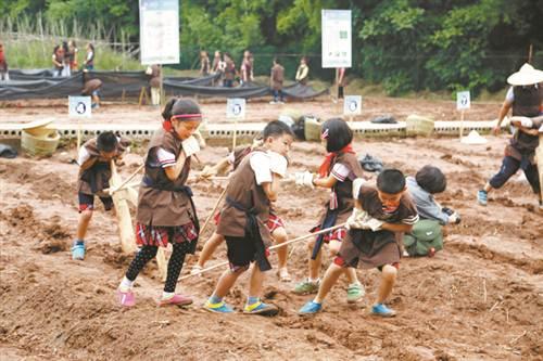 社会实践教育内涵发展的重庆探索 为立德树人