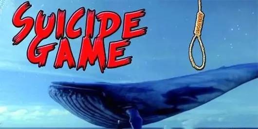 死亡游戏潜入中国 死亡游戏潜入中国