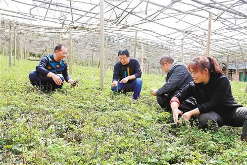 石柱冷水镇人口_钟祥市冷水镇小学(2)