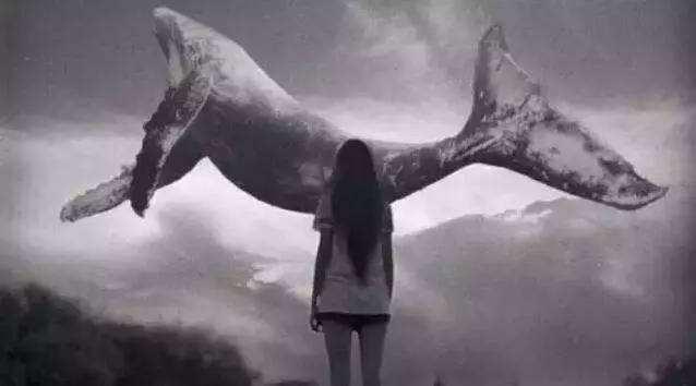 ����������������