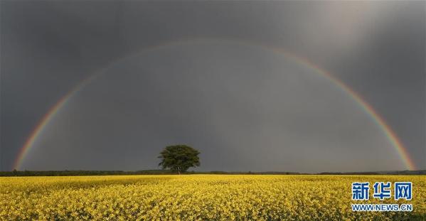 德国沃尔夫斯堡郊外的雨后彩虹