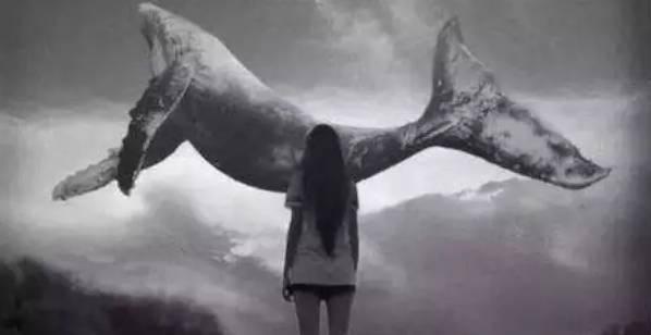 蓝鲸发明者终入狱 曾称受害者都是垃圾(图)