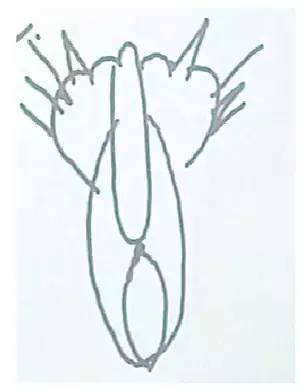 �վ�������Ȧ��