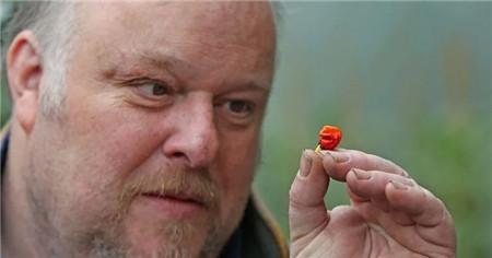 ����������������