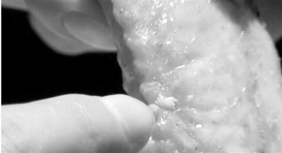 �㽭�и��Կϵ»��Գ�һ�Ѳ�Ӭ�� �귽��Ӧ