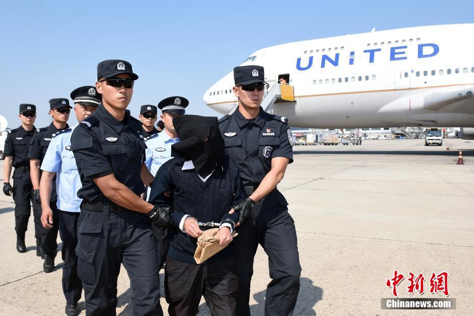 ������ǲ�������� �ӷ�ͷ����ɫ�������ؾ�����������ͼ��