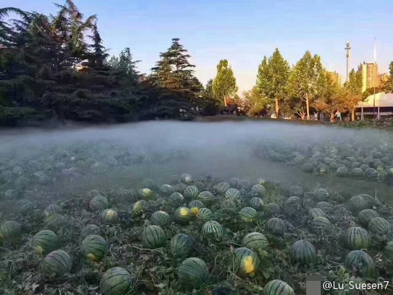 ������Ժ��������