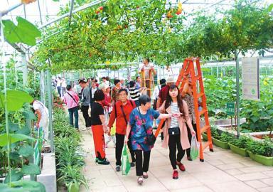 内江市实施特色农业产业发展351方案 第一书