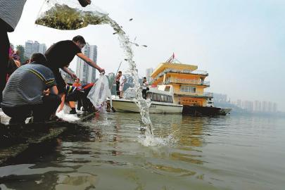 20万尾珍稀鱼类放归长江