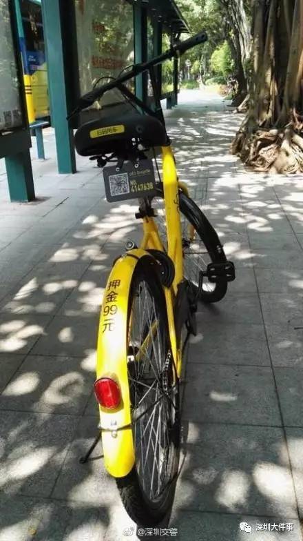 女子骑小黄车肇事逃逸 ofo拒绝承认车为公司所