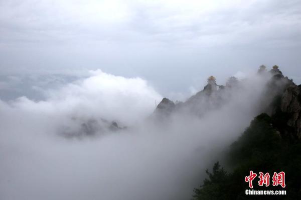 老君山现云海奇观 绝壁道观似天宫仙境