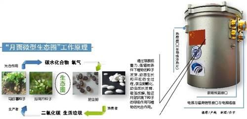 人类有望在月球上种出第一朵花 由重庆大学牵