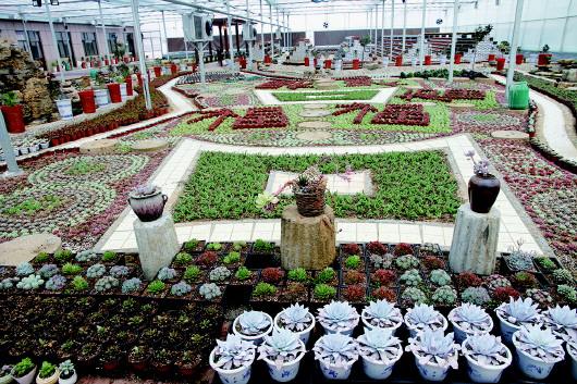 2019nV北县域经济20强_六跨越\