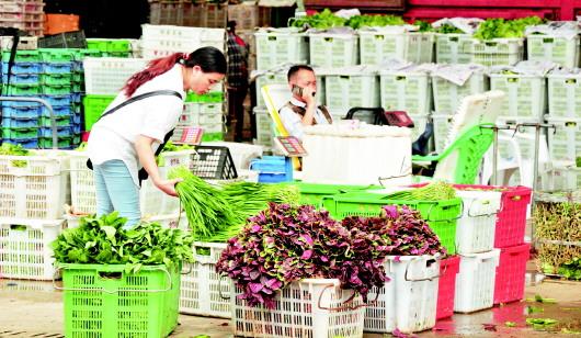 ↑ 贵阳地利农产品物流园本地蔬菜上市