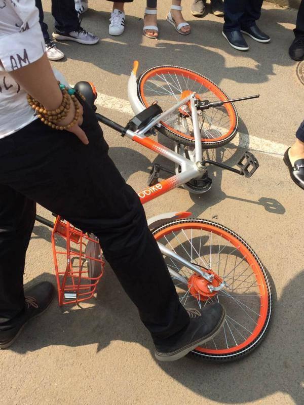 男子喝7瓶啤酒后丢狗怒砸共享单车撒气 被行拘