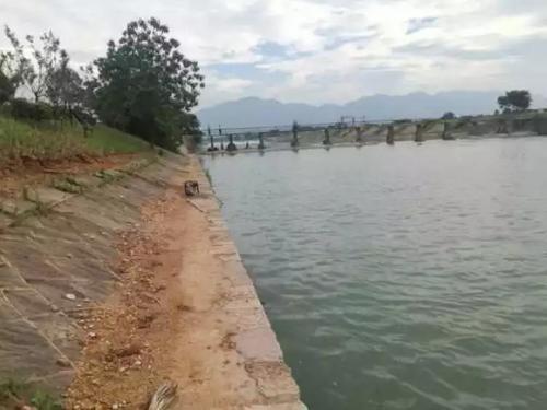 浙江男子为救2岁儿子溺亡 手还保持着托举姿势(图)