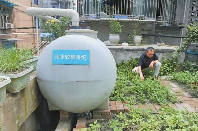 雨水收集系统让平日的浇灌不再使用自来水,更加环保.