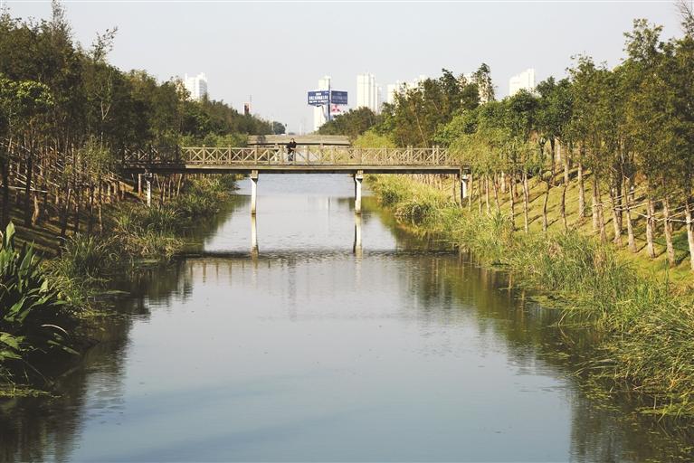 生态河道整治