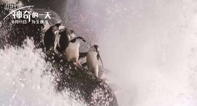 BB������λ�й�����:����è��������è��ҪĨʺ��