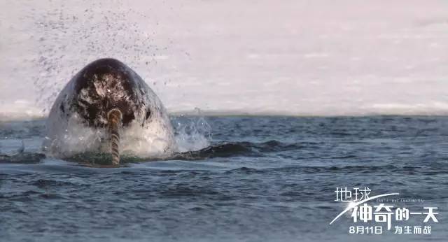 BB������λ�й�����:����è��������è��ҪĨʺ��