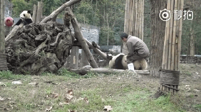 400_224 gif 动态图 动图