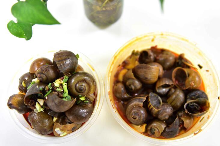 �ɶ���խ�������ݱ丣���� ʳҩ��ֽ������