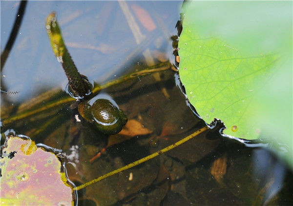 �ɶ���խ�������ݱ丣���� ʳҩ��ֽ������