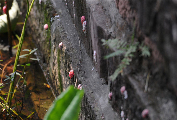 �ɶ���խ�������ݱ丣���� ʳҩ��ֽ������