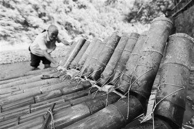 8月19日,竹排制作手艺人杨明清在捆绑竹排.