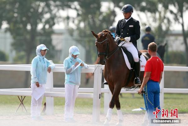 天津全运会马术盛装舞步 香港女骑手与男骑手同场竞技