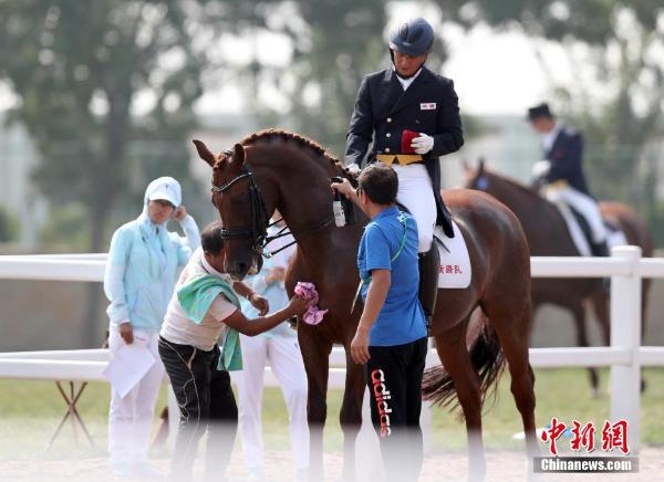 天津全运会马术盛装舞步 香港女骑手与男骑手同场竞技