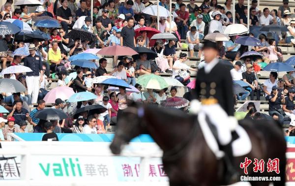 天津全运会马术盛装舞步 香港女骑手与男骑手同场竞技