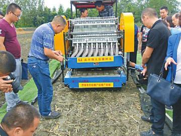 当种蒜高手遇上播种机器--一块试验田里的 人机