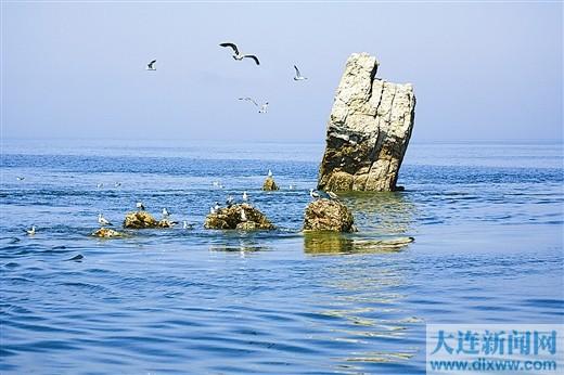 庄河黑岛出水器物与经远舰沉没地点之谜