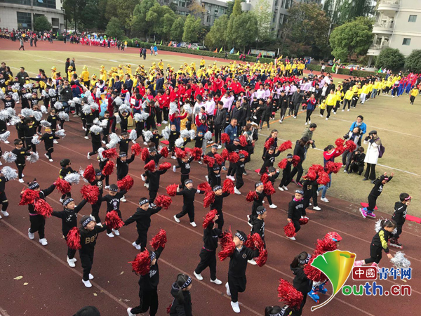 杭州一幼儿园举办亲子运动会　亲子齐心展风采