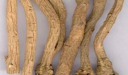 ����鿴��ͼ