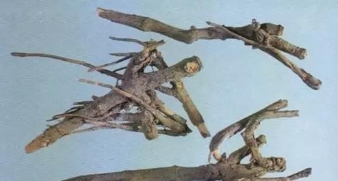 ����鿴��ͼ