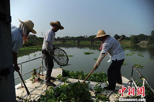 生态船 人口_...注中国人的居住生态 船要上岸,哥要娶你