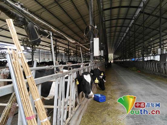 ˵��: �θ��