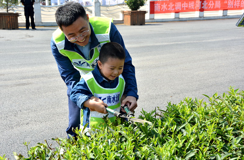 四岁半的天天小朋友被叔叔宋星辉手把手的教着怎样修剪绿植连翘。宋星辉主要负责河北分局石家庄管理处负责绿化维护管理，并配合进行工程巡查管理。（人民网记者孙博洋摄）