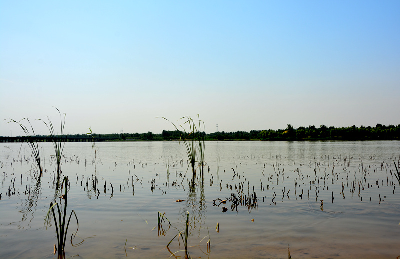 早些年，滹沱河河道干涸，沙石遍地，沟壑纵横，经过生态修复和补水，如今，这里已经成为市区最大的生态景观河、水利风景区。（人民网记者孙博洋摄）